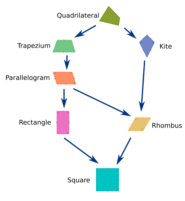 Quadrilateral family tree