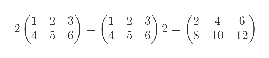 Matrix scalar multiplication